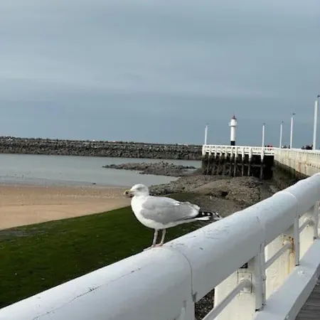 Knus Aan De Zeedijk * Oostende