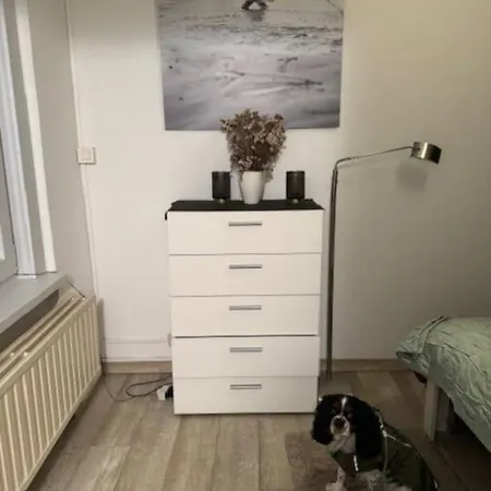 Knus Aan De Zeedijk